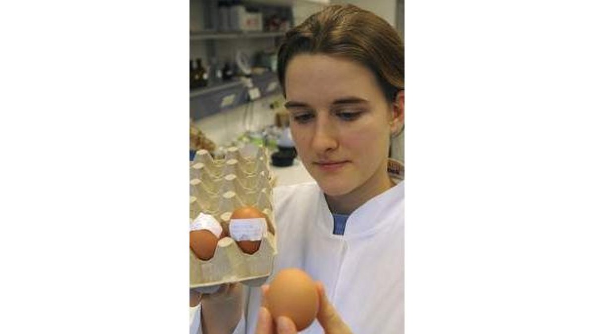 Una investigadora sujeta un huevo contaminado.