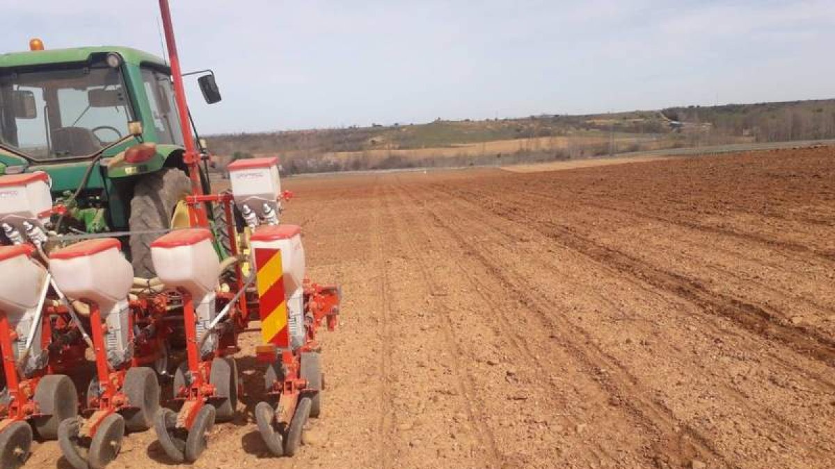 Esta situación también afectará a las tierras de cultivo y cultivos permanentes, fundamentalmente secanos. dl