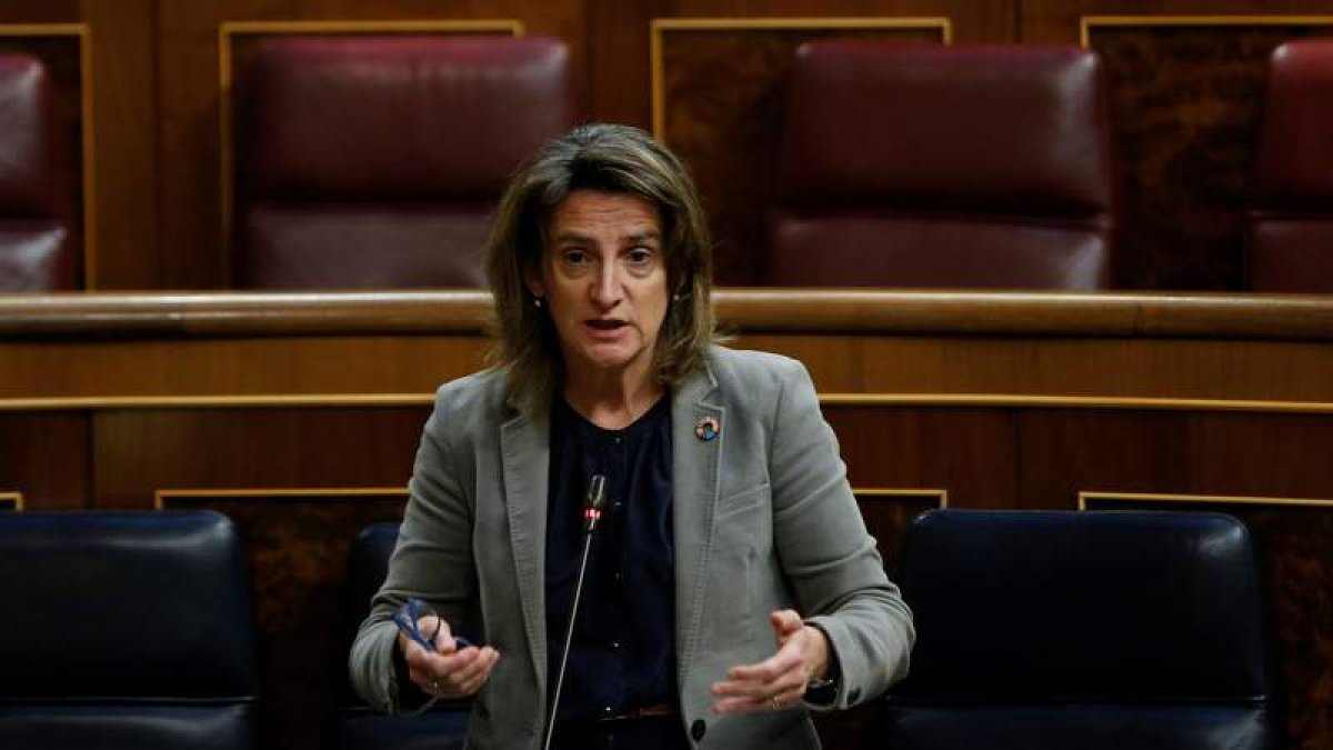 Imagen de la vicepresidenta para la Transición Ecológica, Teresa Ribera. EMILIO NARANJO