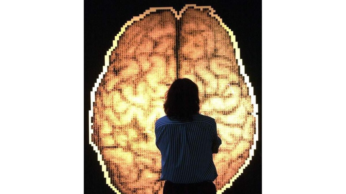 Un visitante observa un mapa del cerebro instalado en el Museo Príncipe Felipe. ESTÉVEZ