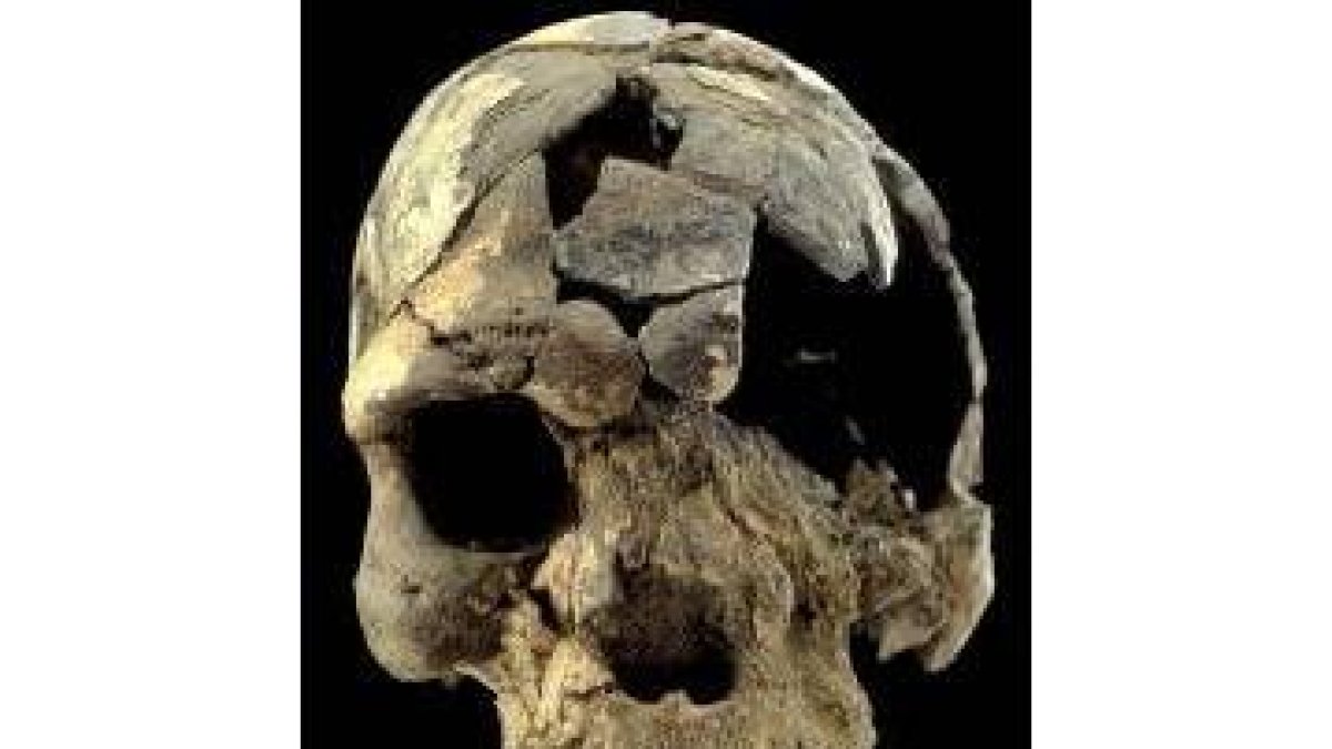 Cráneo de Homo Sapiens de 160.000 años