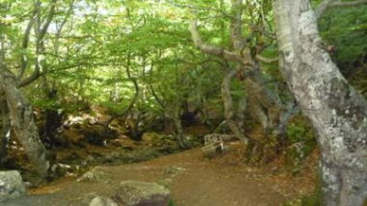 Una muestra del bonito y ejemplar paraje del Faedo en Ciñera de Gordón.