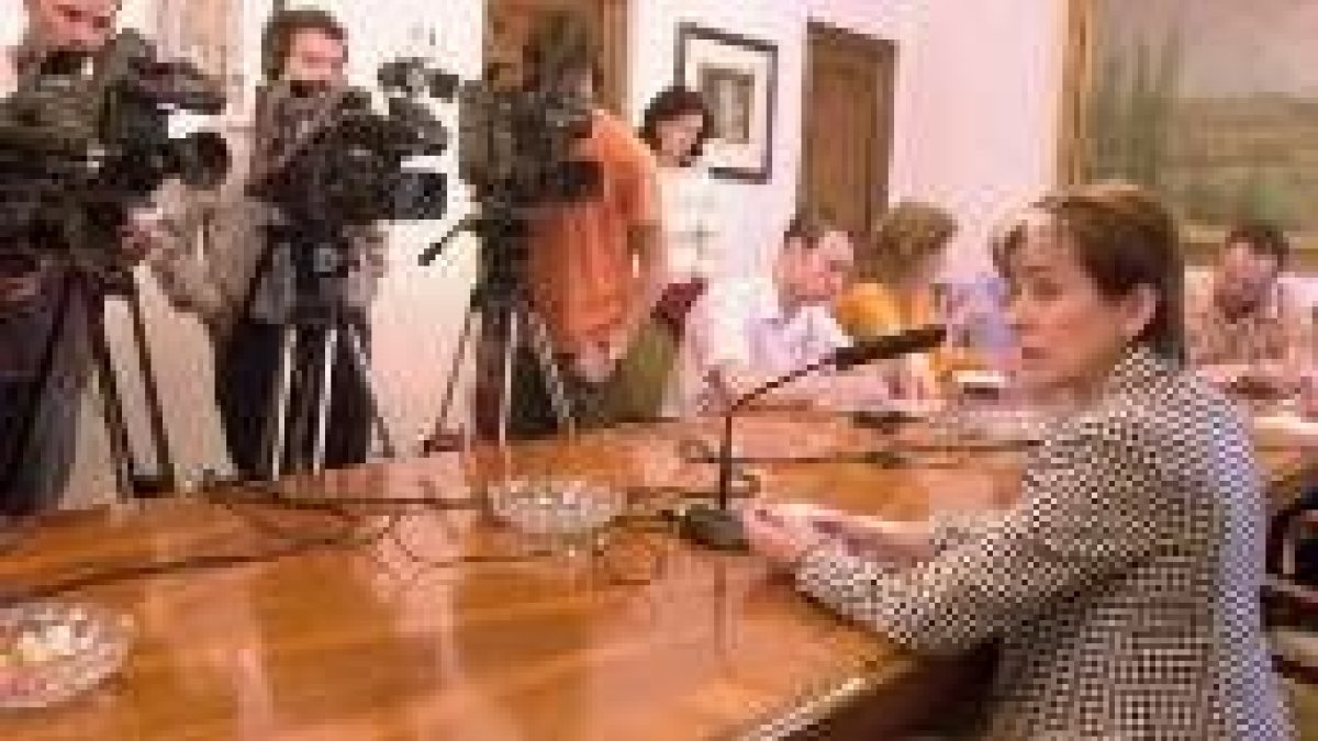 La subdelegada Berta Tricio, en una comparecencia ante los medios