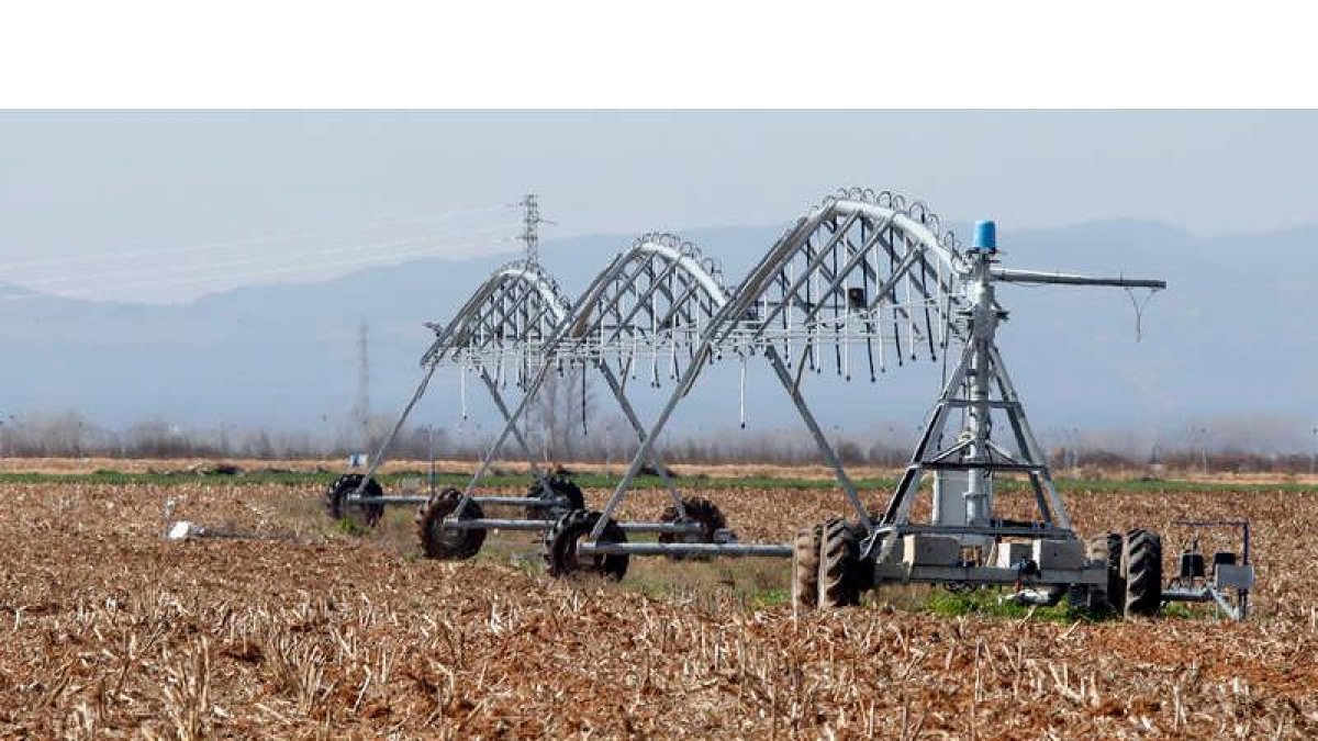 Los sistemas de regadío se han modernizado para conseguir un mejor aprovechamiento del agua. MARCIANO PÉREZ