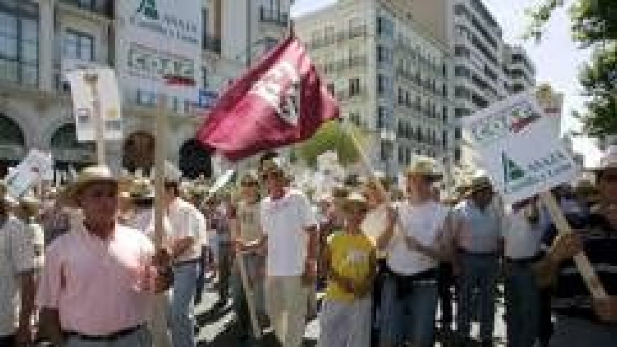 Un momento de la manifestación contra la reforma de la OCM, que se celebró el pasado mes de junio