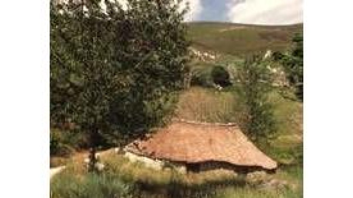 Ancares y el Parque Regional de Picos completarían la reserva