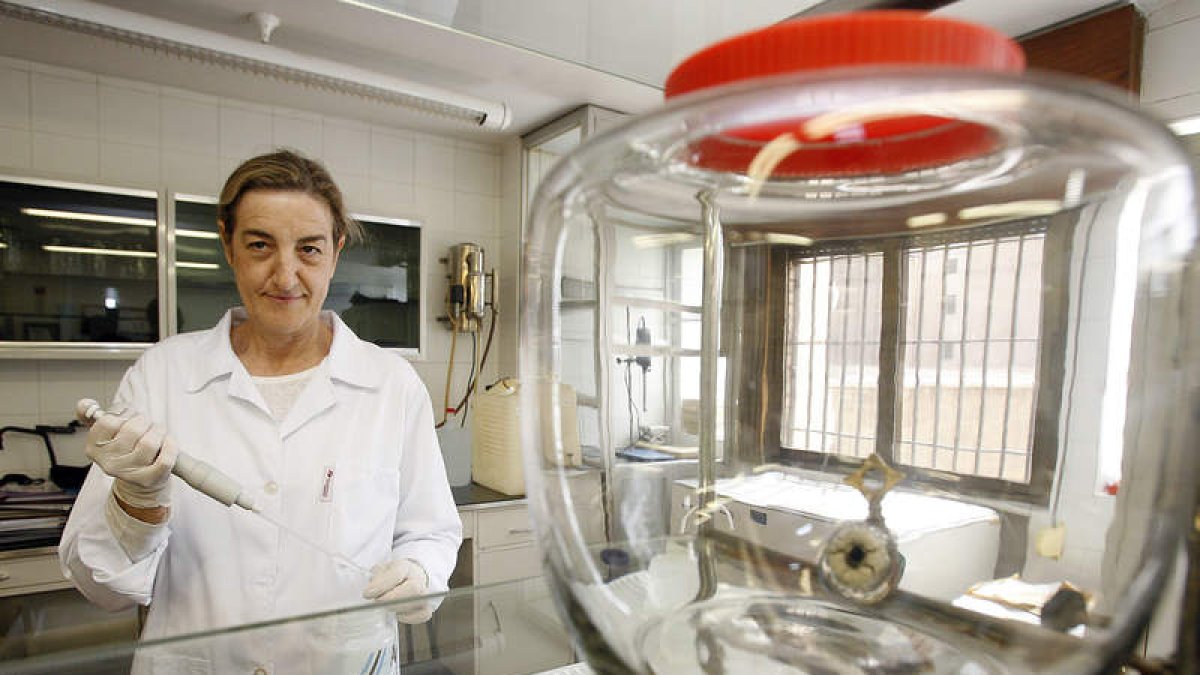 Purificación González es la responsable del Laboratorio de Análisis del Colegio Oficial de Farmacéuticos de León.