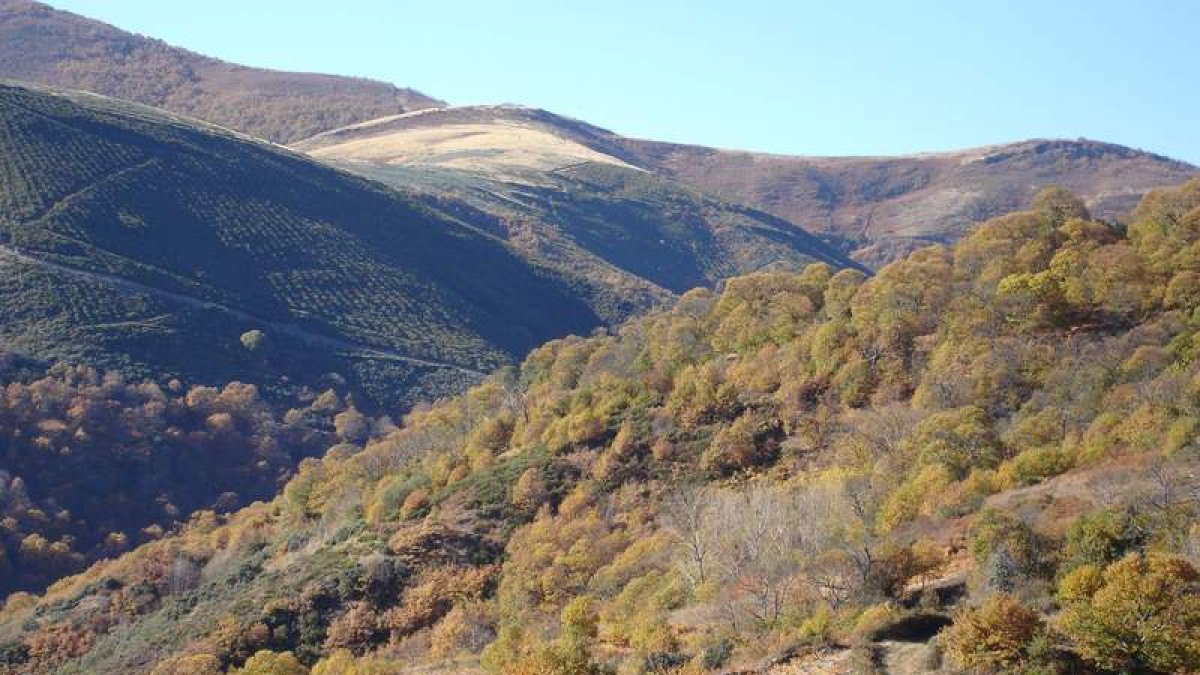 A 900 metros de altitud, en un escenario de gran belleza natural, Paixar explota minúsculas y tortuosas parcelas para crear un vino distinto a todos.