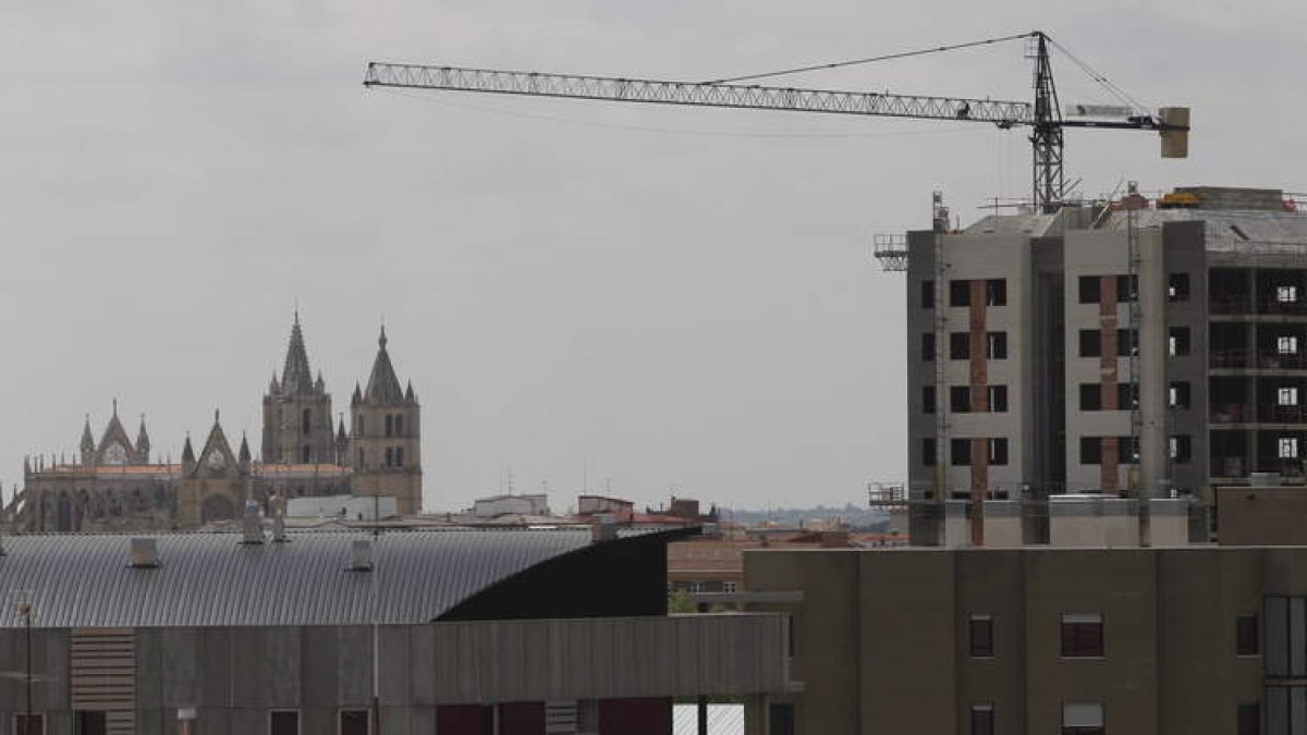 Grúas en León