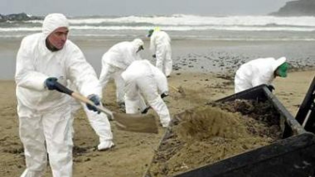 Unos voluntarios limpian una de las playas afectadas por el vertido