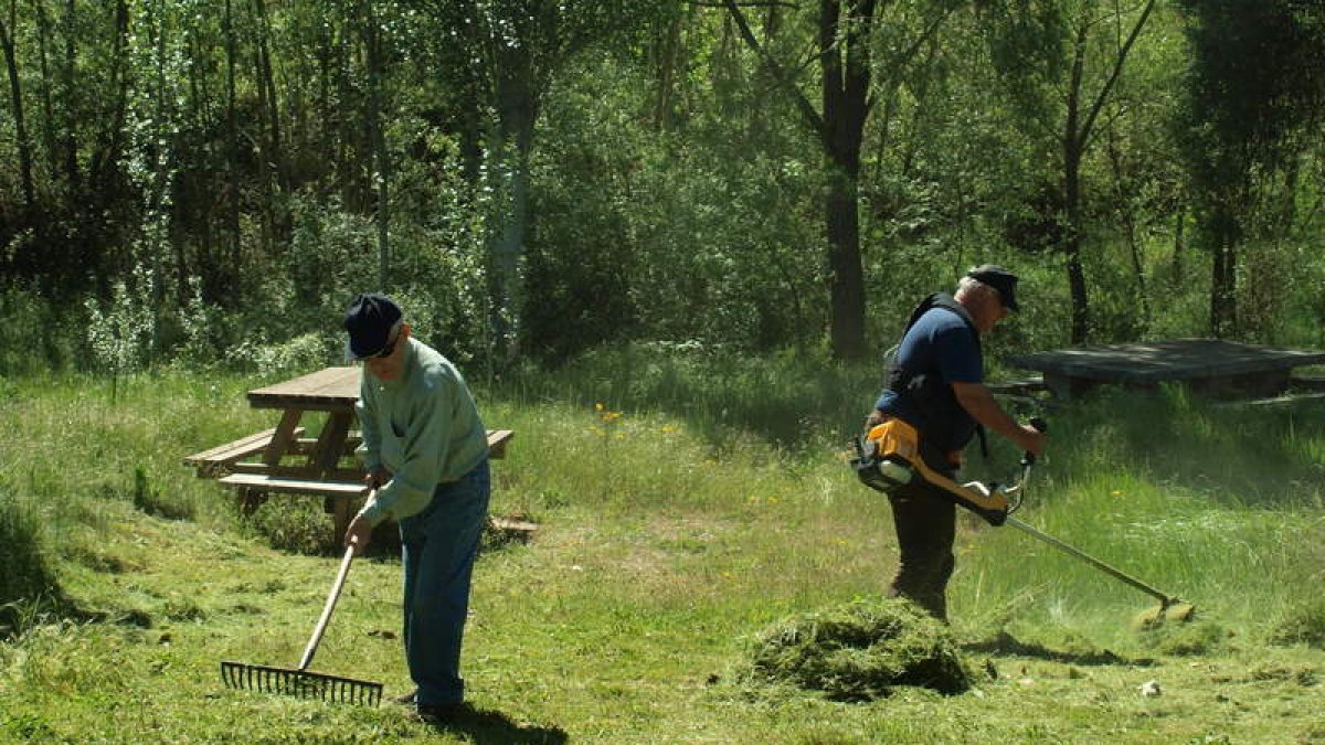 Trabajos de limpeza del Camino de Santiago