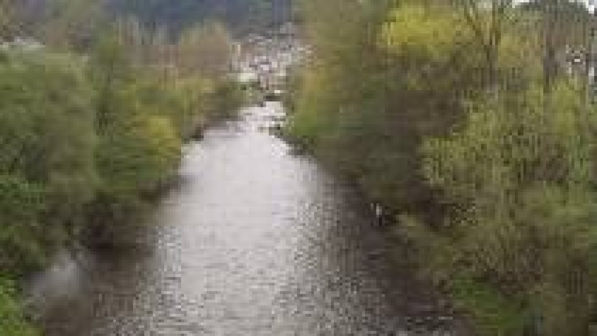 El río Burbia en la jornada de apertura de la temporada. Al fondo se aprecia Villafranca del Bierzo