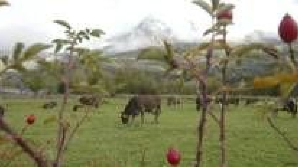 La riqueza natural y paisajística de Babia y Luna aguarda a que la Junta constituya el parque