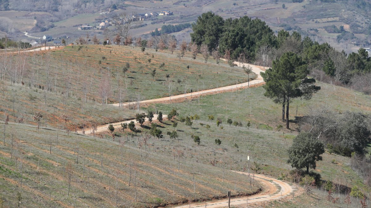 El bosque didáctico de la Fundación Prada A Tope. ANA F. BARREDO