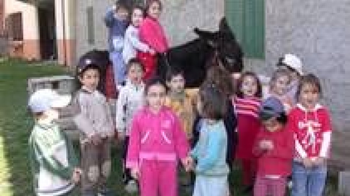 El burro Crispín es una de las estrellas de la granja La Campaza