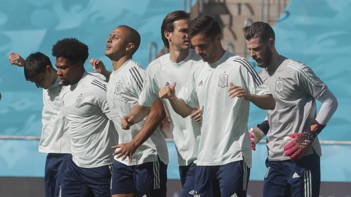 seleccion