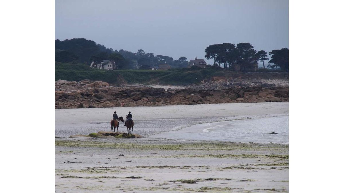 Caballos en la costa de Bretaña.