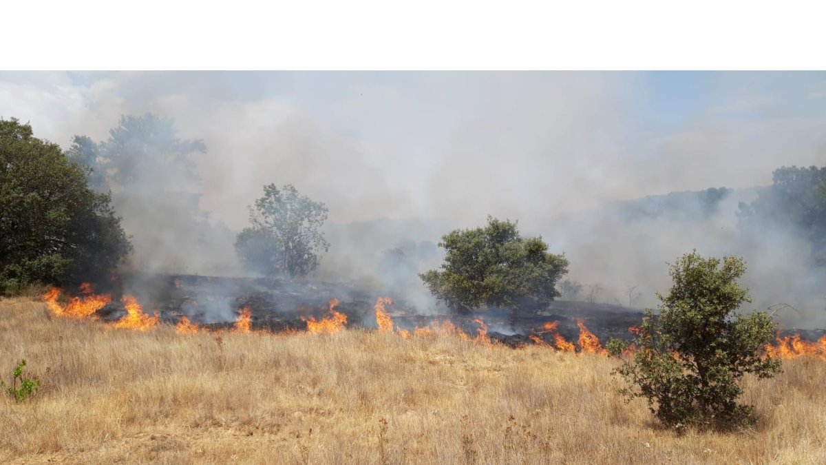 Incendio en el monte de Villaquejida. DL