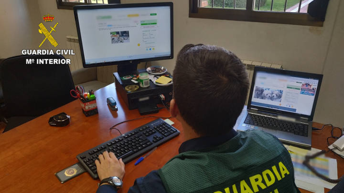 Un guardia civil investiga delitos de estafas por Internet. DL