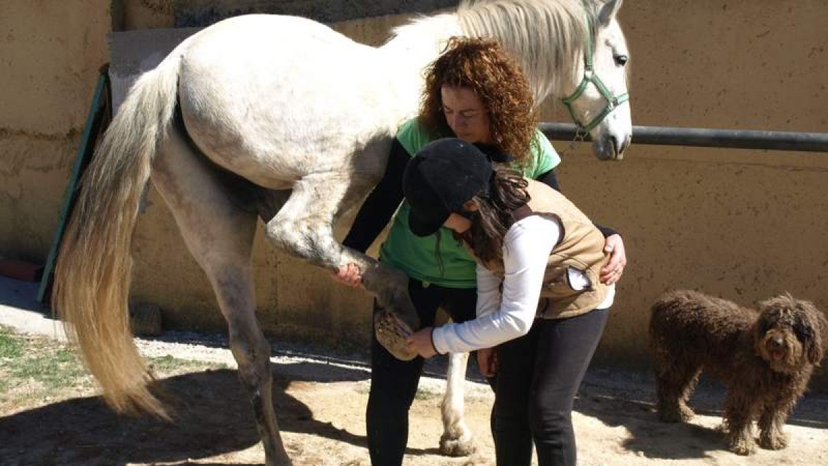El centro emplea terapias ecuestres para trabajar con niños con distintos trastornos