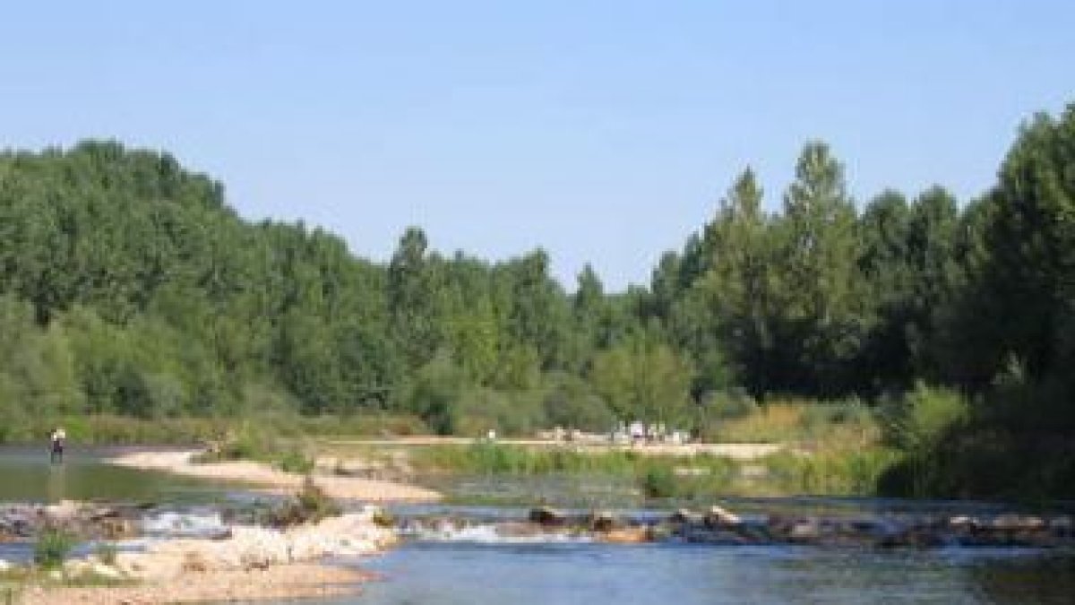 Imagen del río Órbigo a su paso por la localidad de Villanueva de Carrizo.