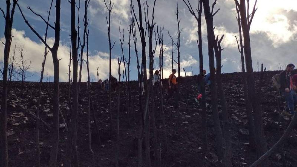 Los Grandes Incendios Forestales (GIF) son aquellos que superan las 500 hectáreas. DL