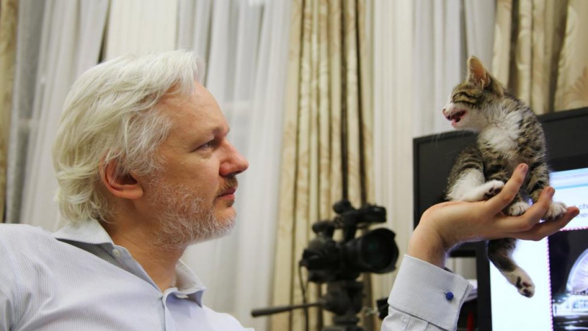 Julian Assange, con su nuevo compañero en la Embajada de Ecuador en Londres.