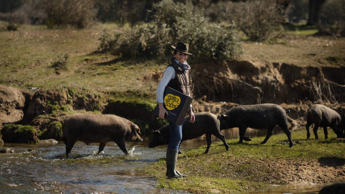 El acceso a los productos es sencillo desde el Market Tierra de Sabor. DL