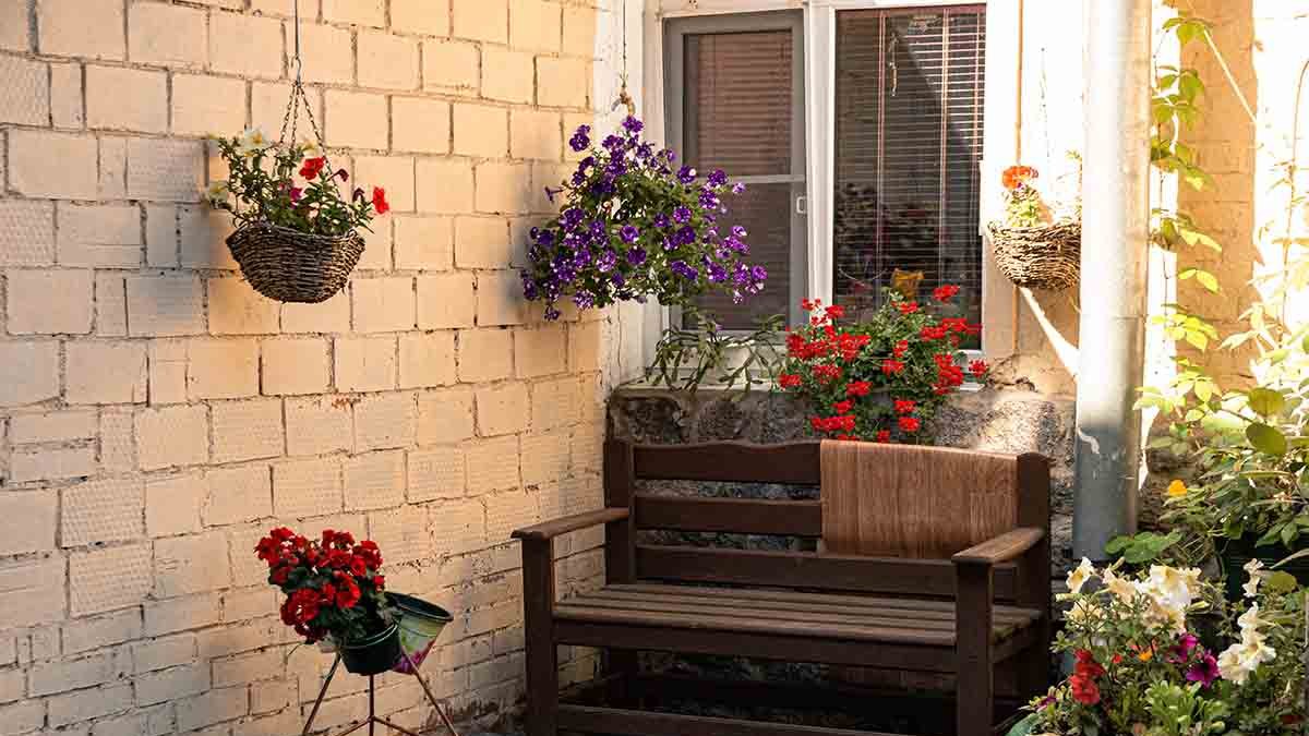 Las plantas perfectas para que tu terraza luzca increíble este verano