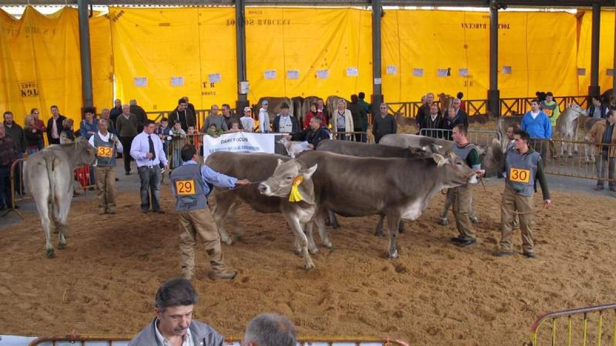 Una de las exposiciones celebradas en Boñar. CAMPOS
