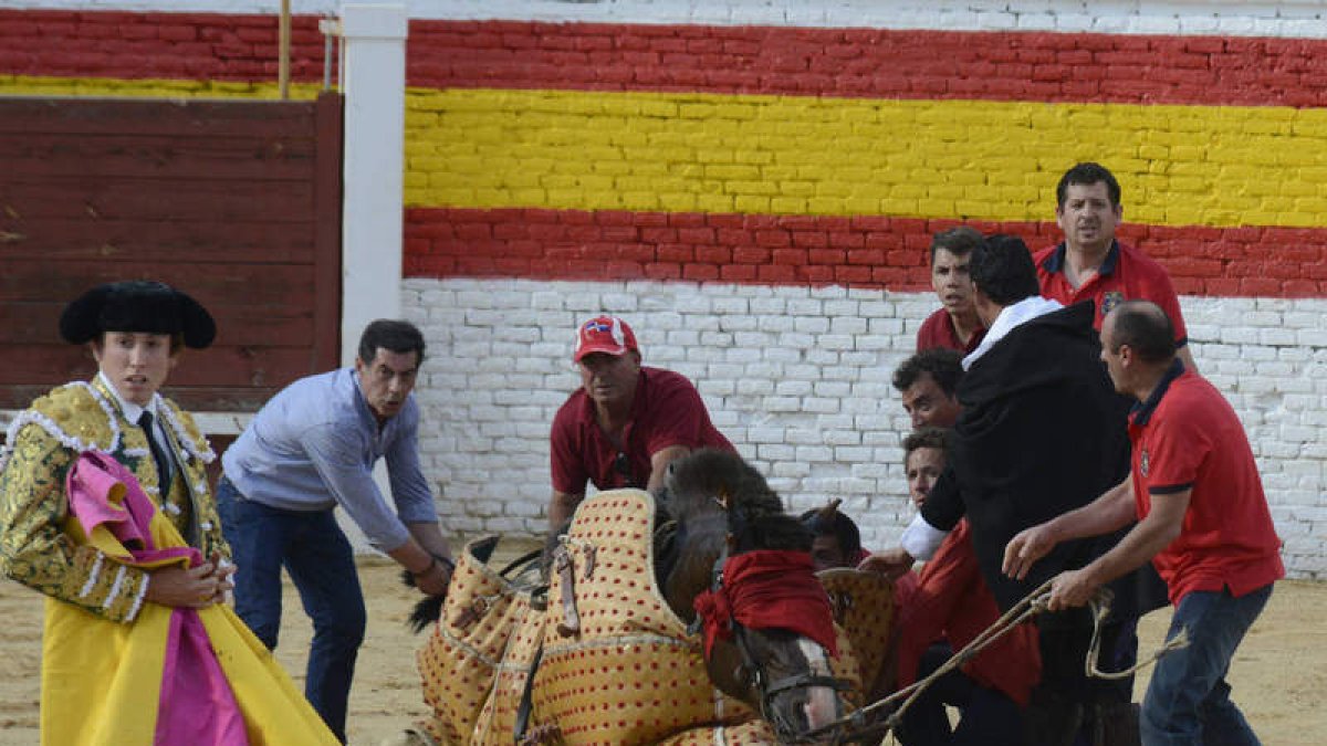El animal permaneció en el ruedo herido durante la corrida. ACACIO