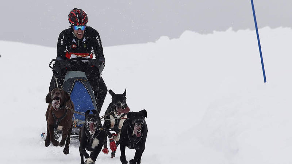 La primera edición del campeonato de mushing de la Comunidad se celebró la semana pasada en el puerto de Vegarada y a ella acudió una marea de gente.