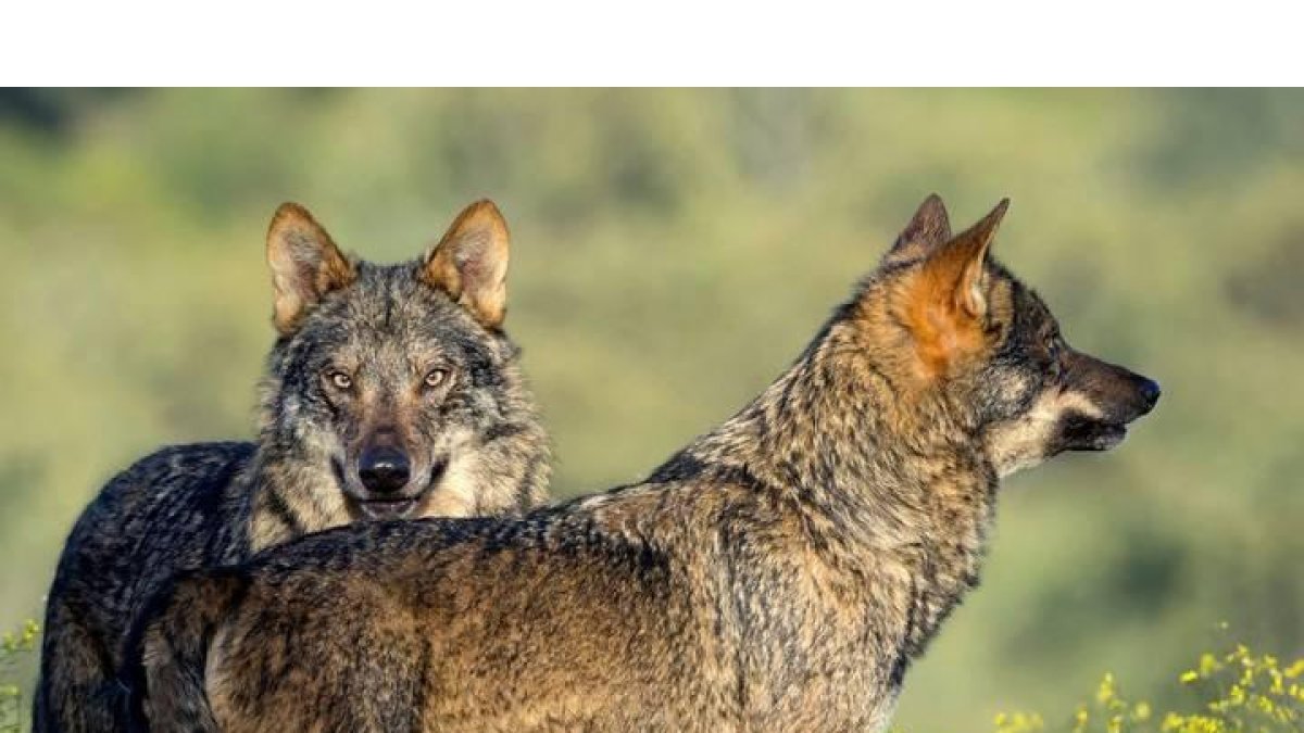 Fotografía facilitada por Suria Comunicación de la película
