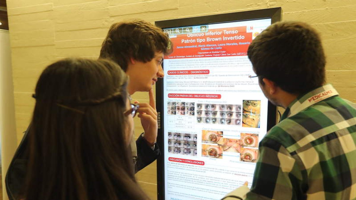 Participantes en el Congreso de Oftalmología Pediátrica celebrado en León.