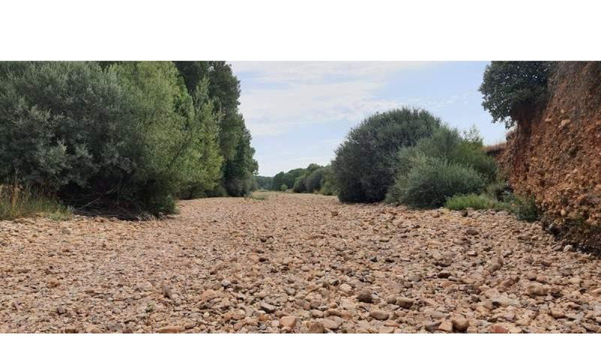El agua brilla por su ausencia en este tramo del Duerna. DL
