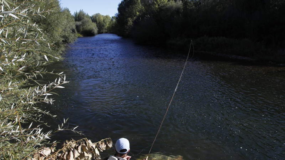 Un pescador en uno de los muchos cauces trucheros de la provincia leonesa.