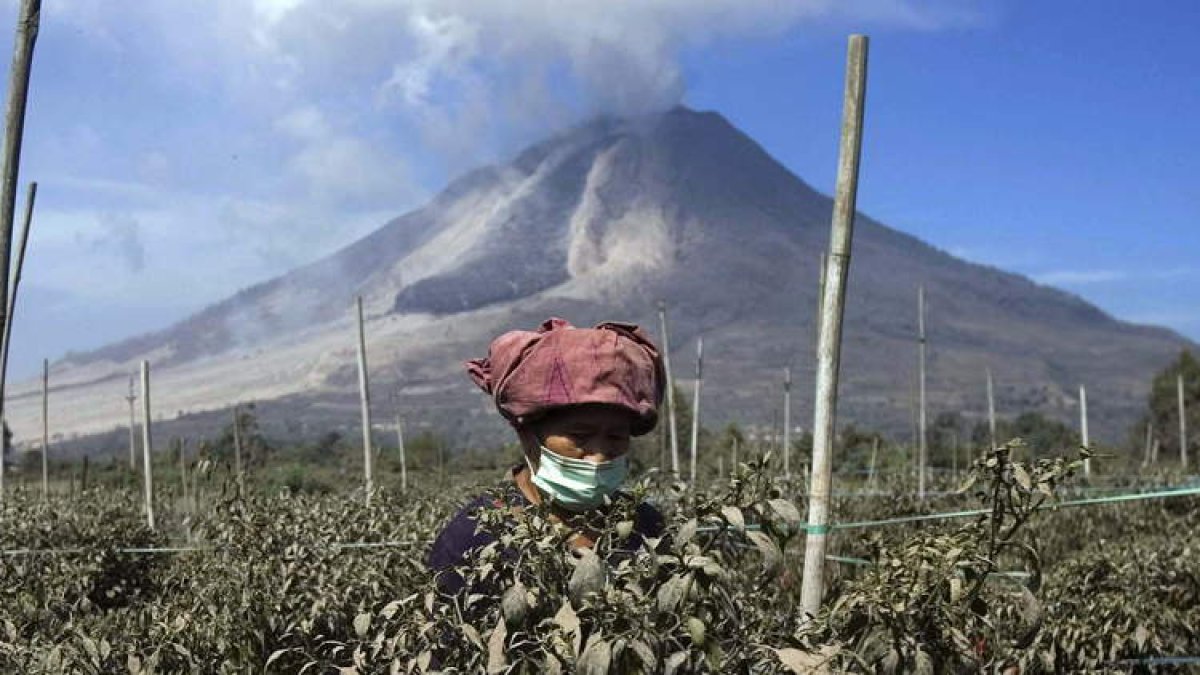 DEDI SAHPUTRA