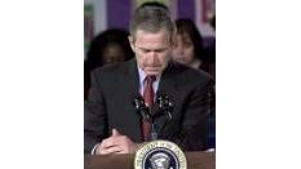 George Bush busca un candidato para Naciones Unidas