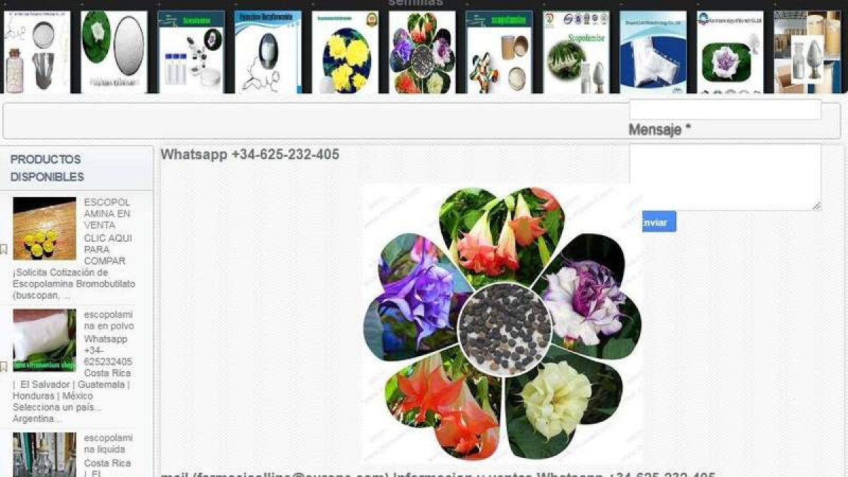 Internet ofrece múltiples posibilidades de compra. DL