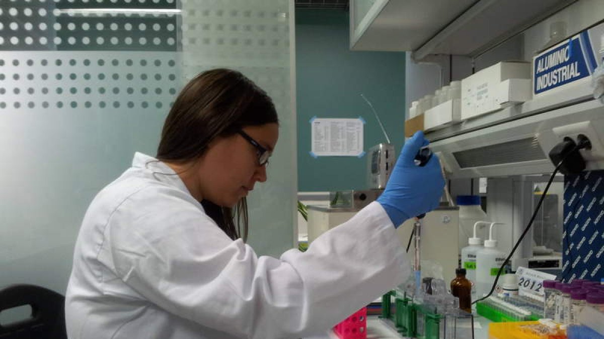 Una de las investigadoras, en los laboratorios del IBGM. dicyt