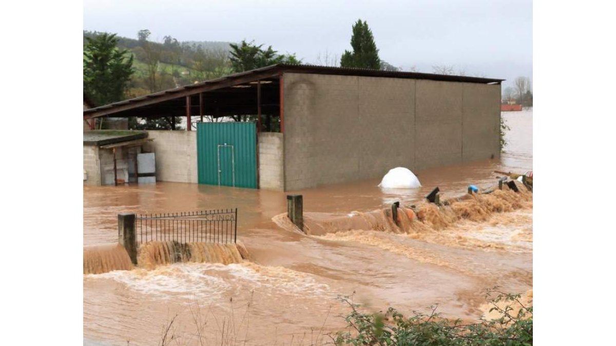 Una inundación en medio de una explotación ganadera. efe