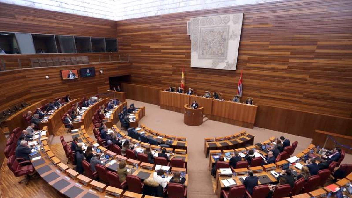 Vista del hemiciclo durante el Pleno de las Cortes de Castilla y León. MÍRIAM CHACÓN
