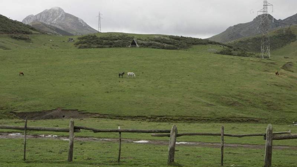 Pastos en el Puerto de Pinos. DL