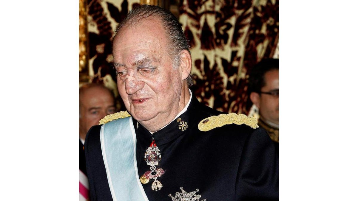 El rey, en la sala del Palacio Real donde se presentaron las cartas credenciales.
