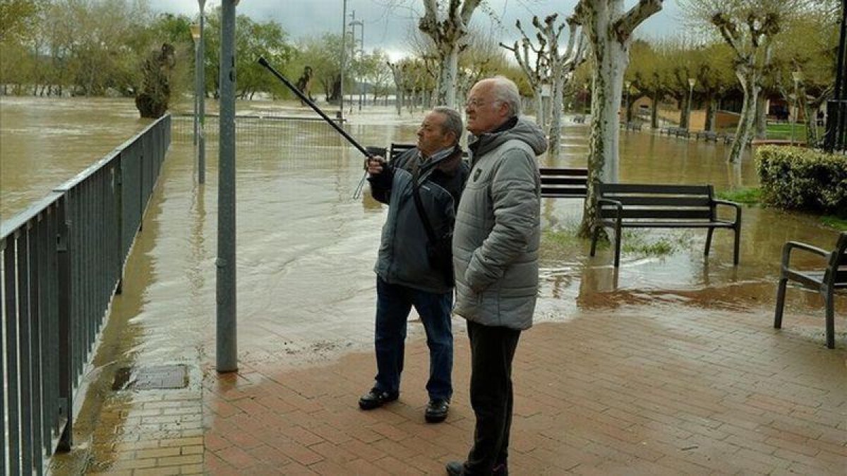 Vecinos de Tudela, atentos a la crecida, este viernes.