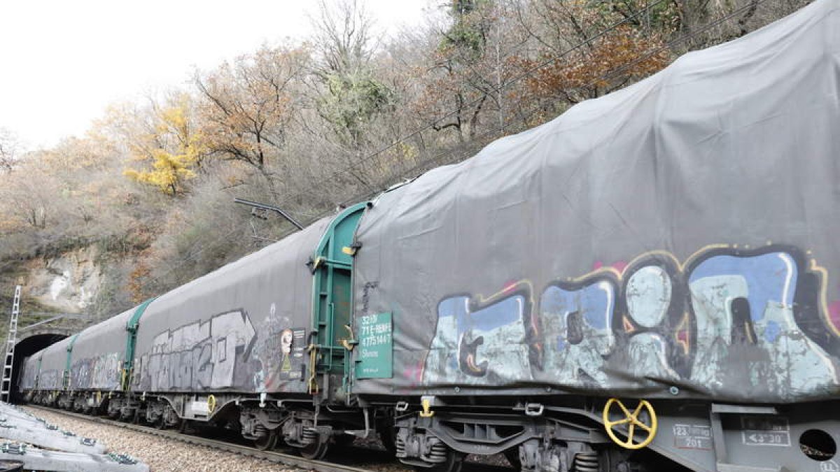 Tren de mercancías en la zona de la rampa de Pajares. MARCIANO PÉREZ