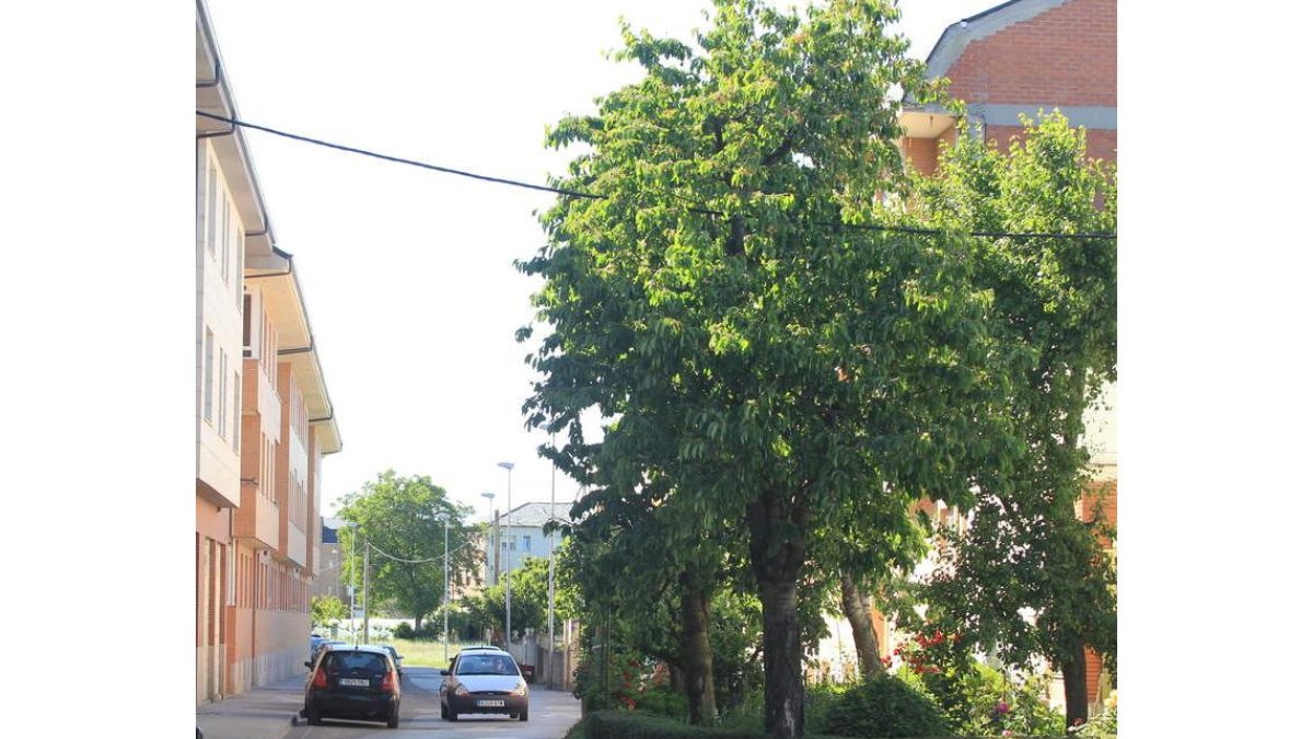 Calle Camino del Francés en el barrio de Cuatrovientos. ANA F. BARREDO