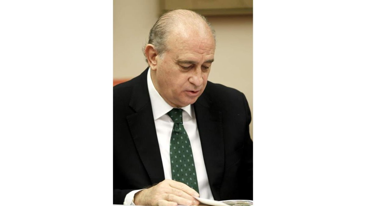 El ministro durante la comparecencia en el Congreso.