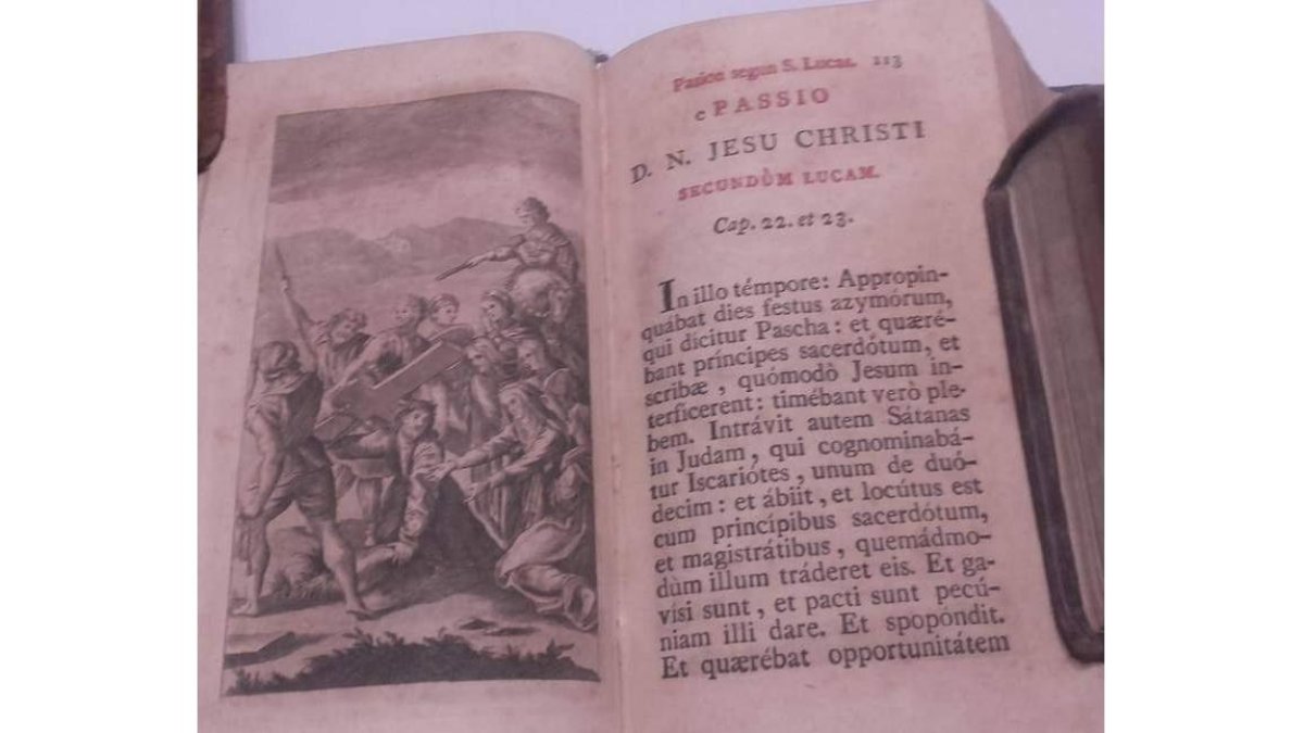 Dos de los ejemplares que forman parte de la colección. DL