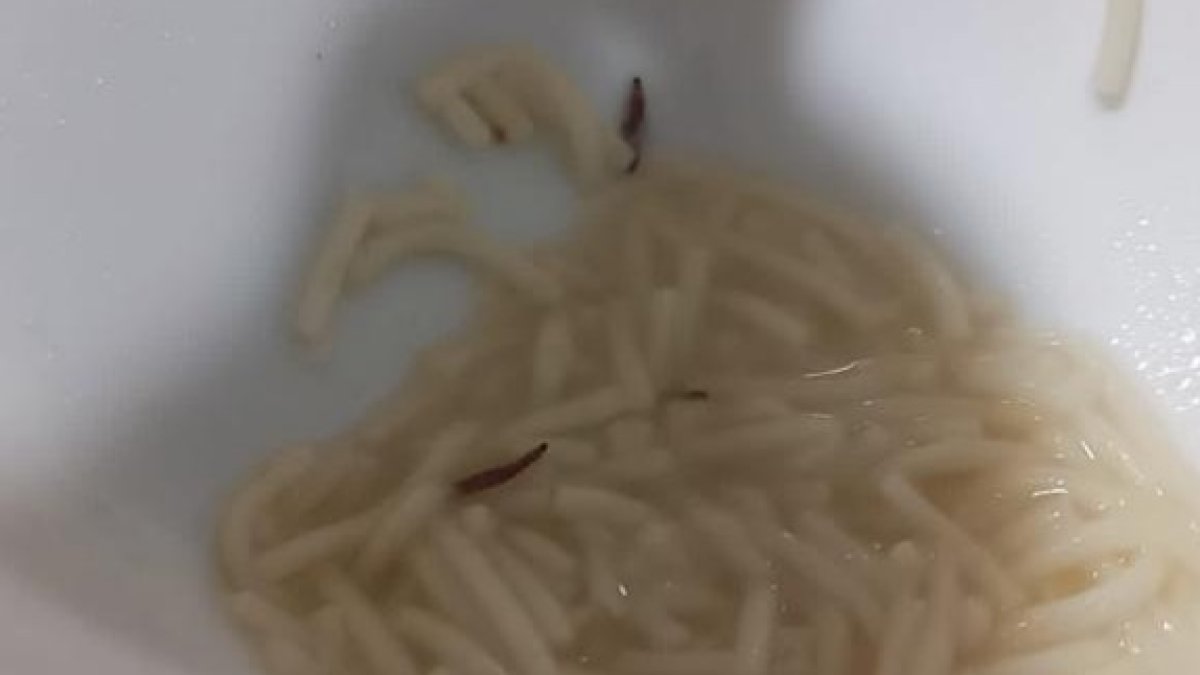 Imágenes de los gusanos en la comida. DL
